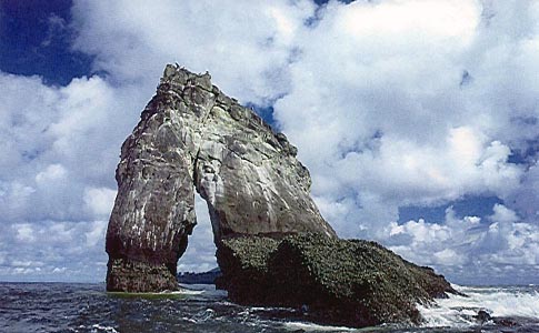 farallon parque nacional Gorgona