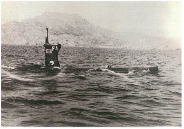 Foca 1954-1967