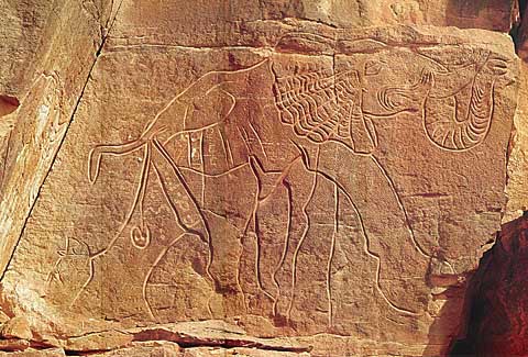 Petroglifo libio que representa a un elefante africano. época troglodita. 