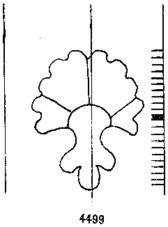 Concha. Montpellier, 1375. Fuente: http://www.ksbm.oeaw.ac.at/_scripts/php/loadRepWmark.php?rep=briquet&refnr=4499&lang=fr
