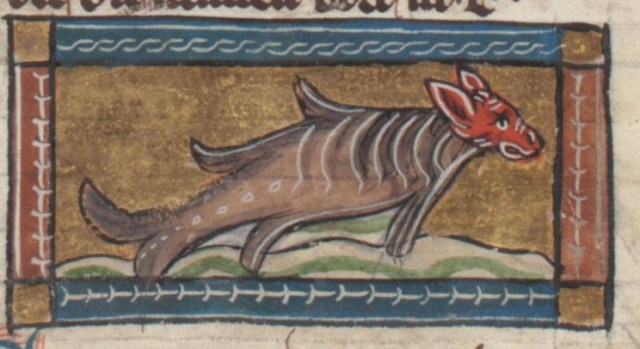 Pez con car ade animal terretre