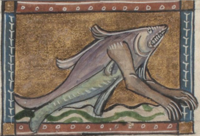 Con patas delanteras