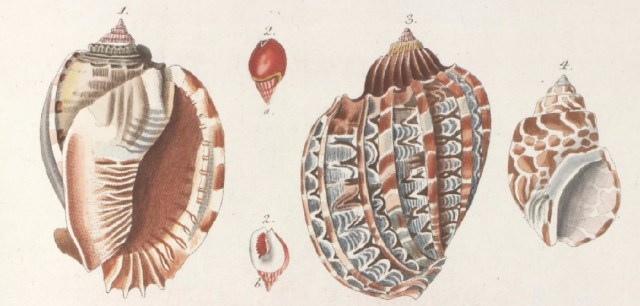 Parte de una lámina