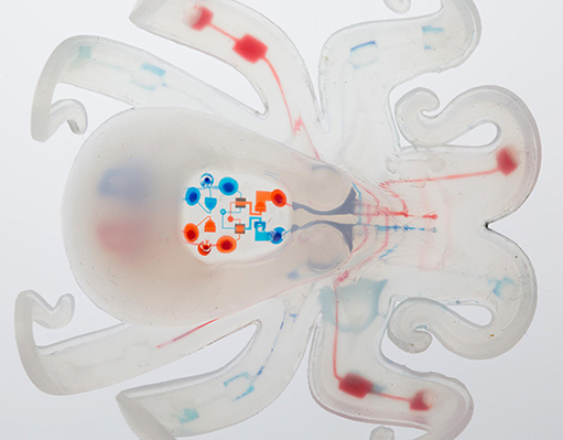 Octobot. Universidad de Harvard