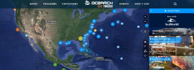 interfaace ocearch