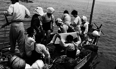 getting-ready-to-dive_opt