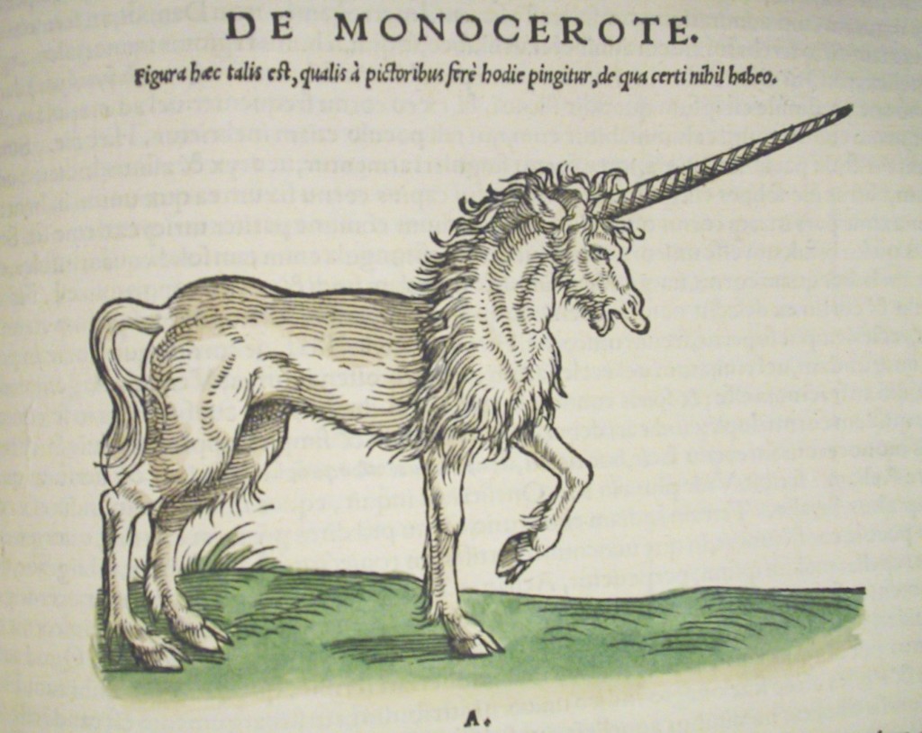 Unicorn2-1024x814